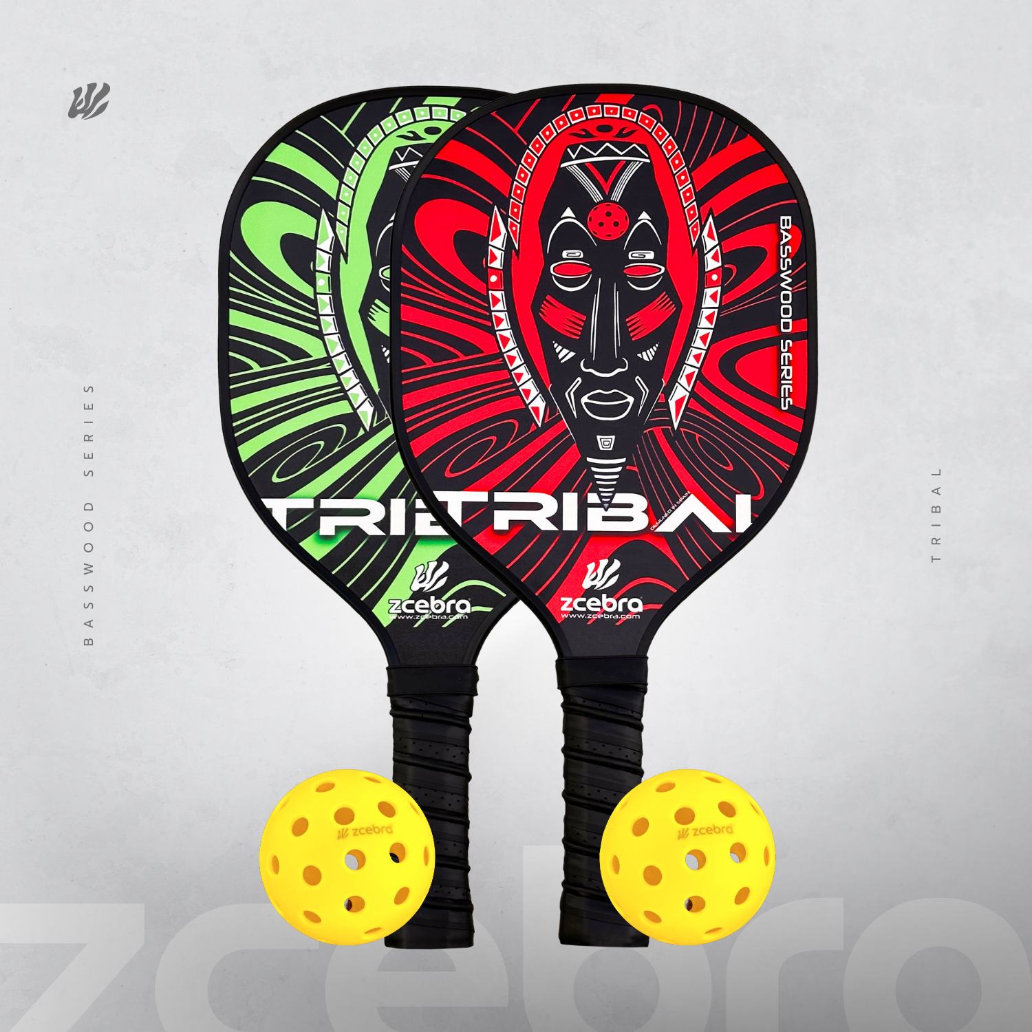 Pickleball set 2 paddles 2 balls