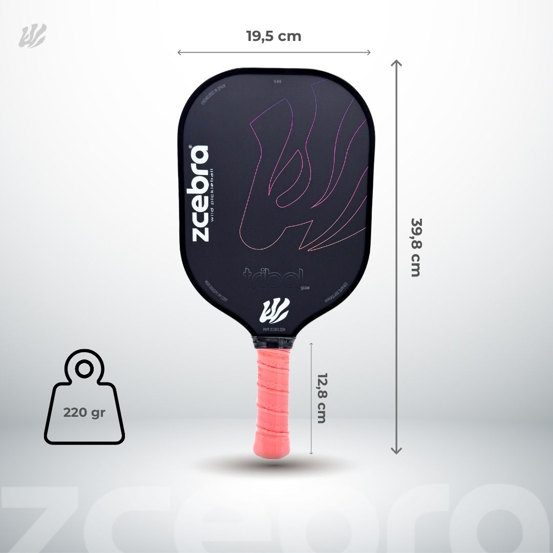 Set de Pickleball 2 palas 4 bolas