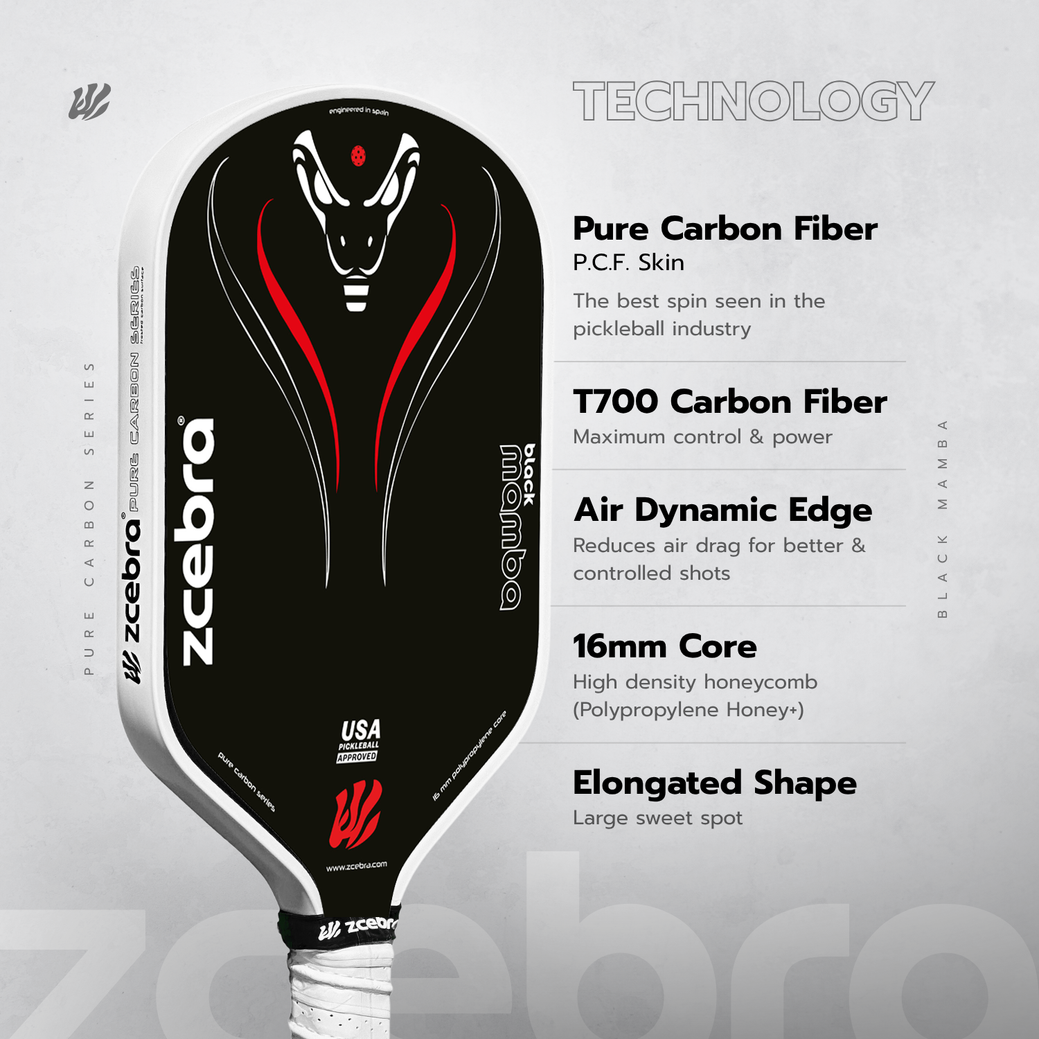 ZCEBRA Black Mamba