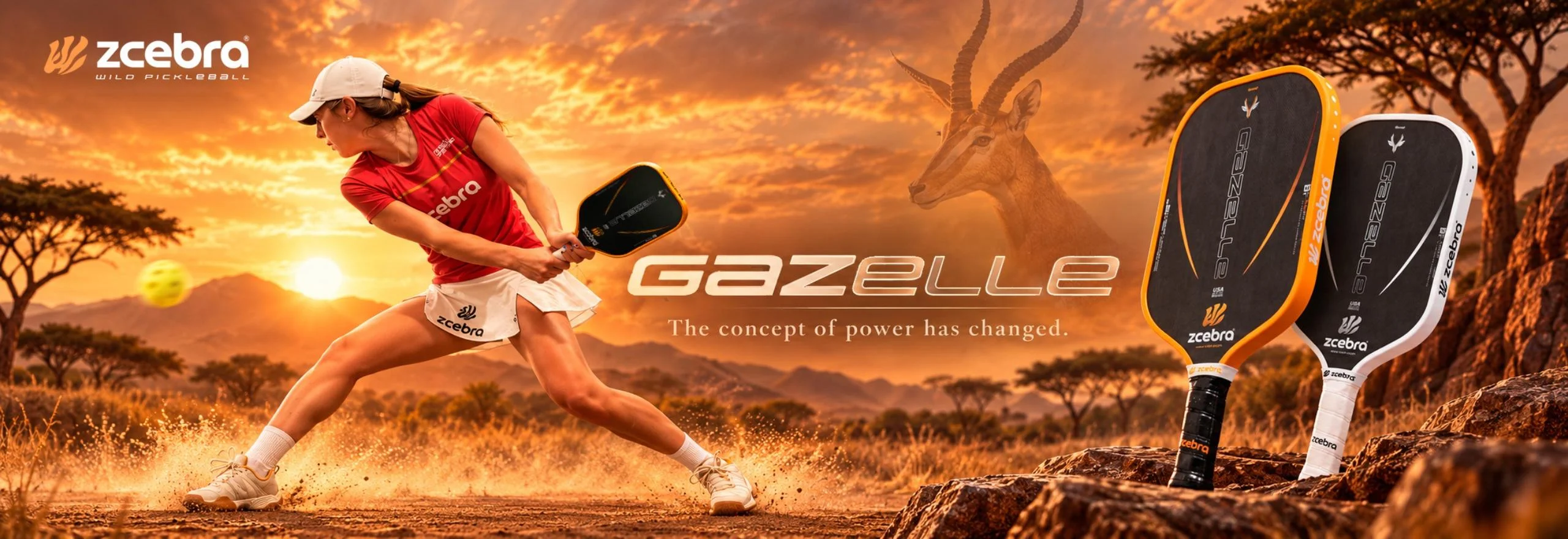 banner_gazelle zcebra